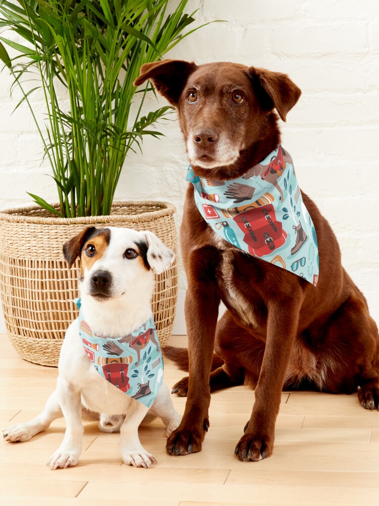 Alternate view of Hiking trip // aqua background orange red brown and teal hike backpack essentials Pet Bandana