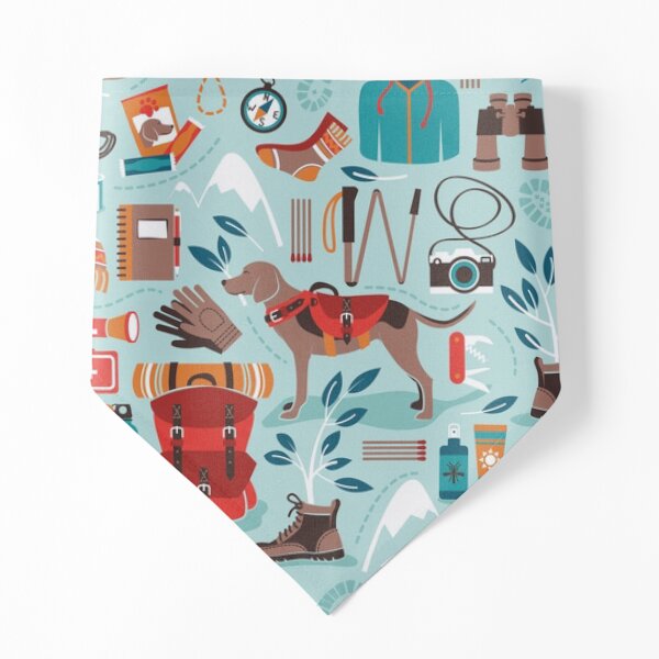 Hiking trip // aqua background orange red brown and teal hike backpack essentials Pet Bandana