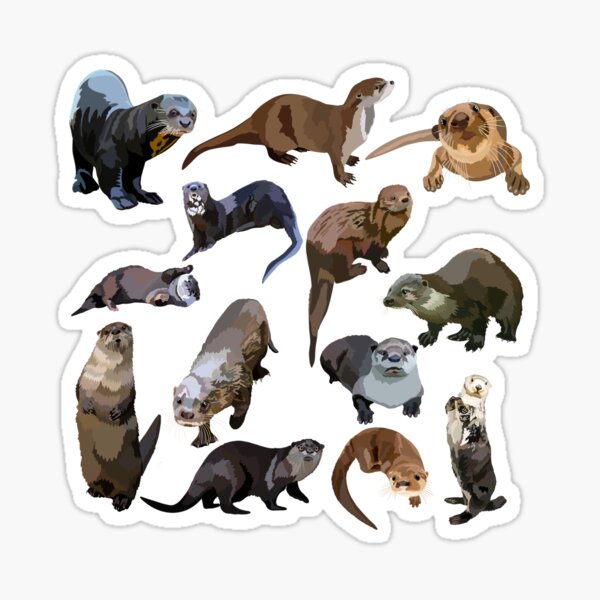 Artikel-Vorschau von O steht für Otter, designt und verkauft von thezoogirl.
