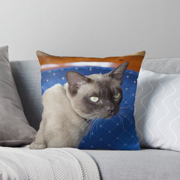 Item preview, Alan designed and sold by margotk.