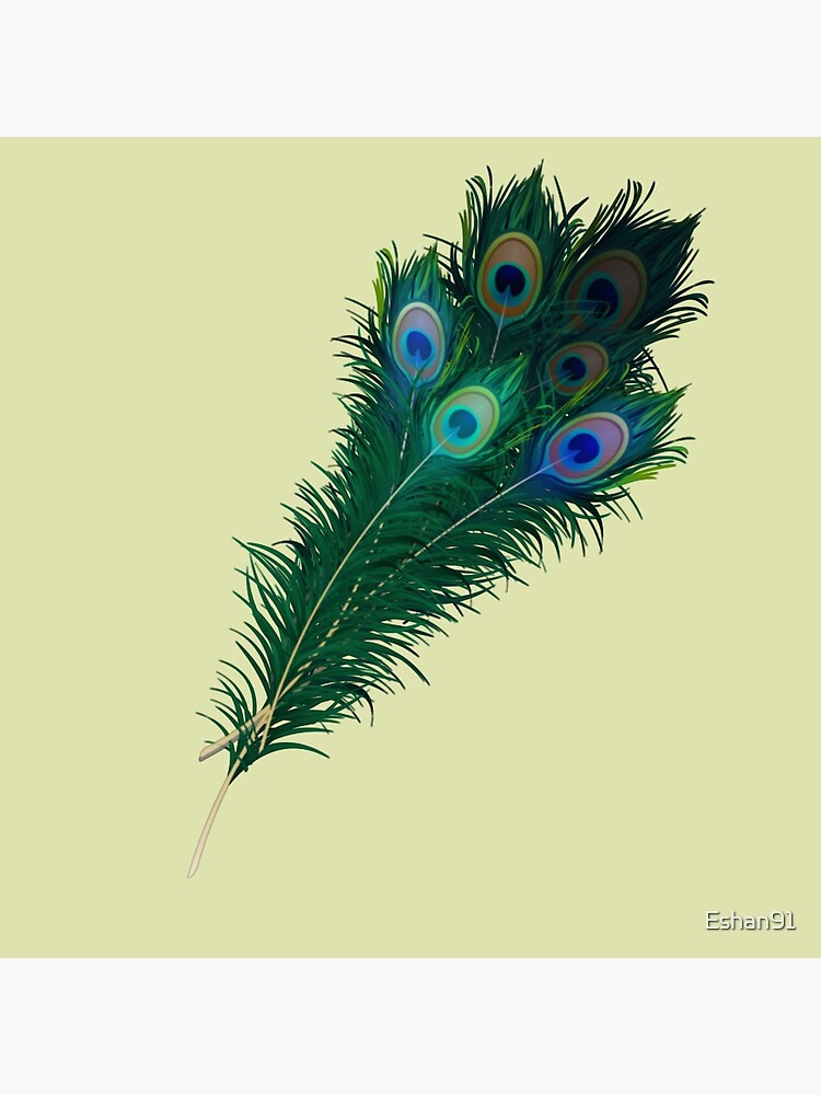 Poster peacock feathers 