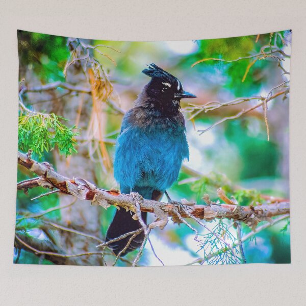 Item preview, Steller's Jay Photograph designed and sold by alpendesigns.