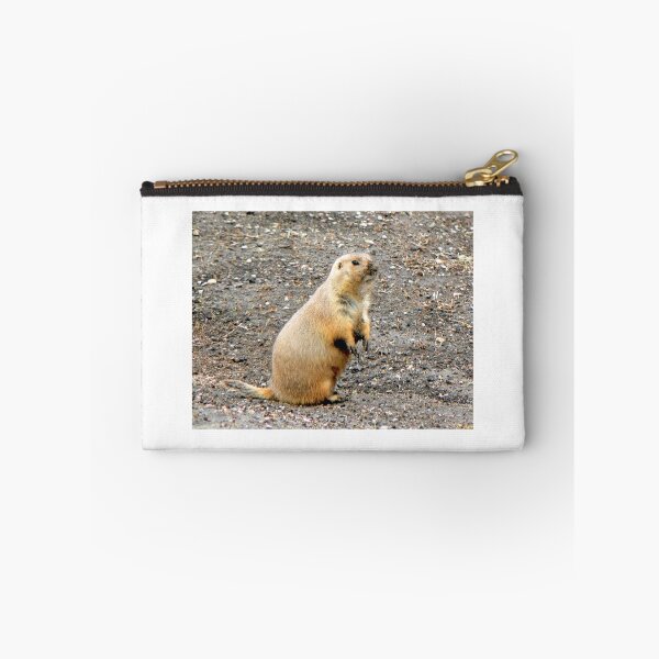 Item preview, Grubby-nosed Priarie Dog designed and sold by Graeme  Hyde.