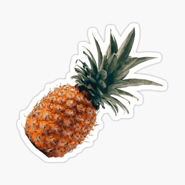 "Tilted Pineapple, Fruit for Thought Photo Vector Illustration" Sticker