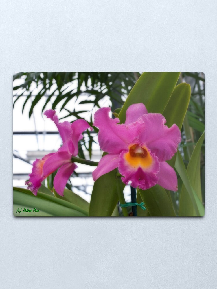 Alternate view of Morning Fantasy Metal Print