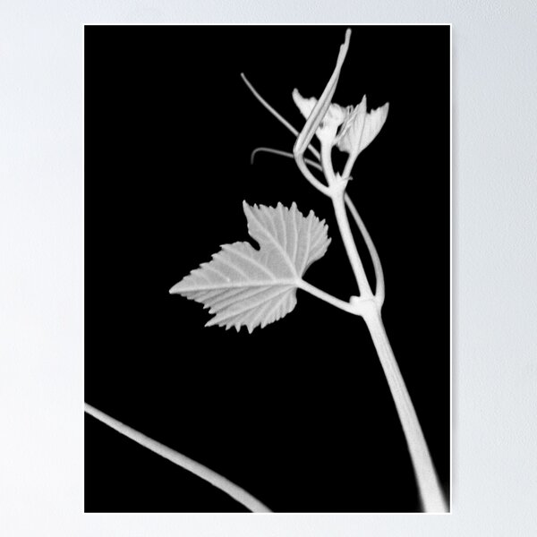 Item preview, Grapevine designed and sold by Kitsmumma.