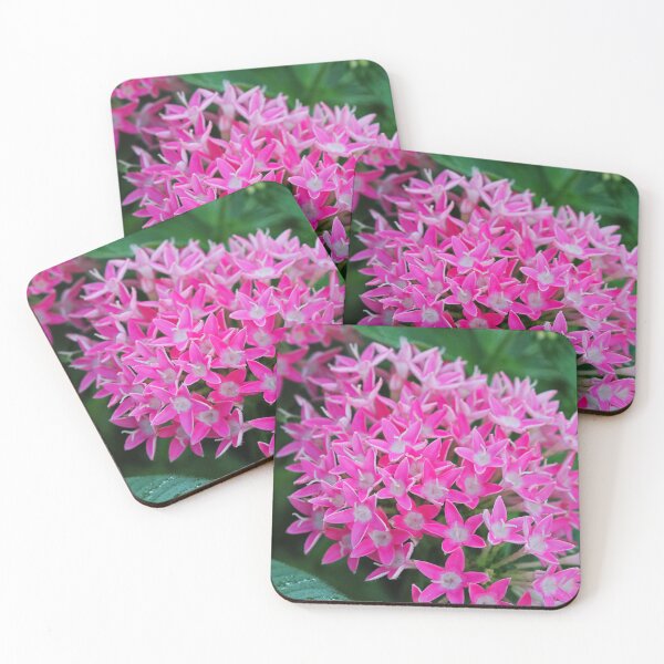 Item preview, Wake Up Slow designed and sold by Michiale.