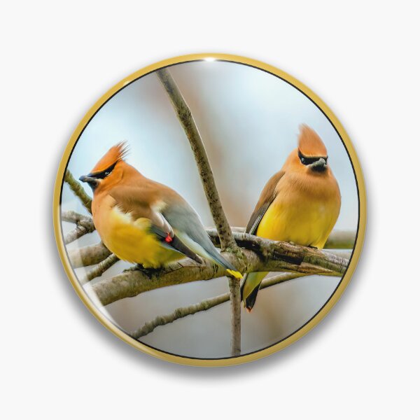 Item preview, Cedar Waxwing Photograph designed and sold by alpendesigns.
