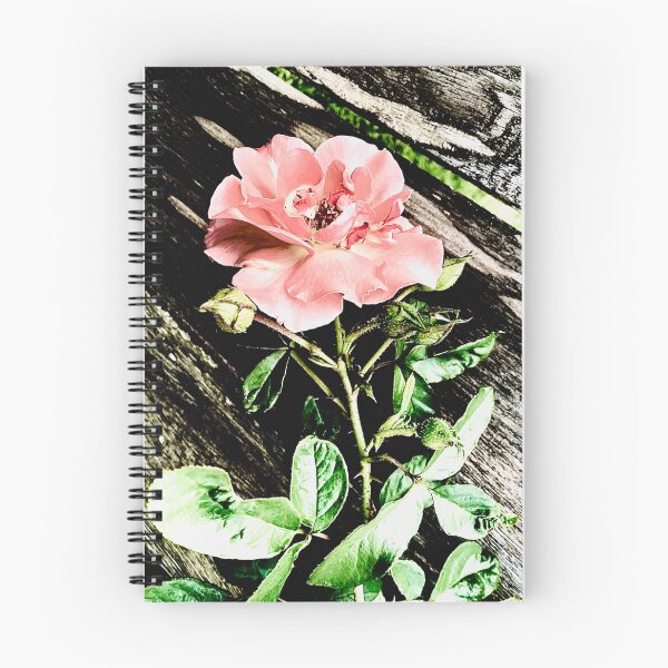 Item preview, Rose flower  designed and sold by baksuart.