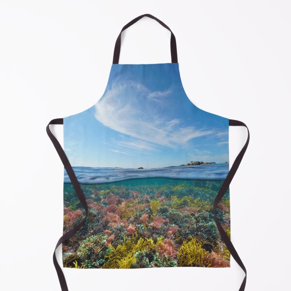 Item preview, Ocean seascape colorful algae underwater and blue sky with cloud designed and sold by Seaphotoart.