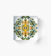 Medicine Mandala Acrylic Block