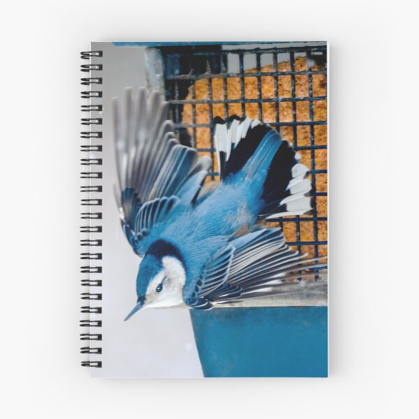 Item preview, White-Breasted Nuthatch in Snow Photograph designed and sold by alpendesigns.