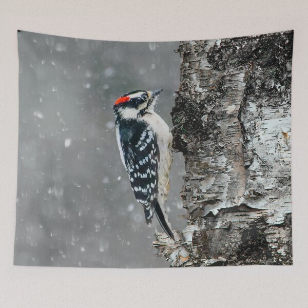 Item preview, Downy Woodpecker in Snow Photograph designed and sold by alpendesigns.