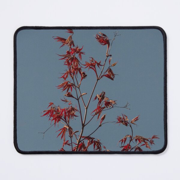 Item preview, Colourful Signs of Spring designed and sold by Gerda Grice Photography.