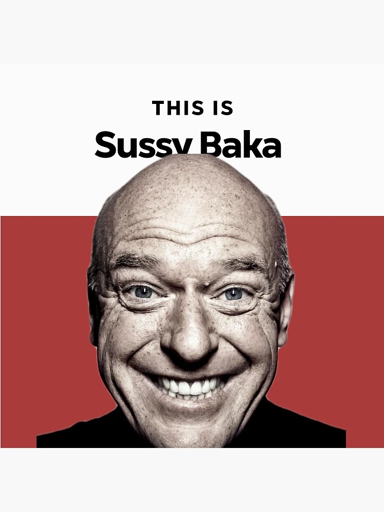 My sussy baka (sad song), Sussy Baka
