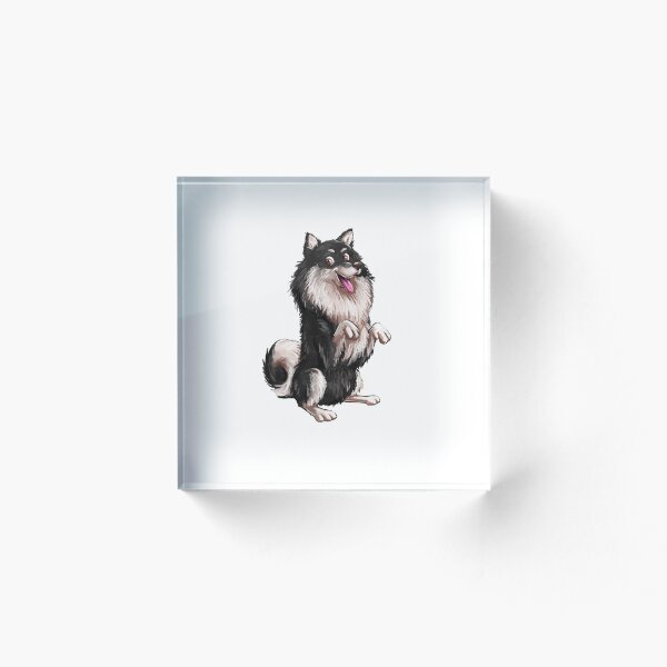 Item preview, Finnish Lapphund - Tricks designed and sold by FLCV.