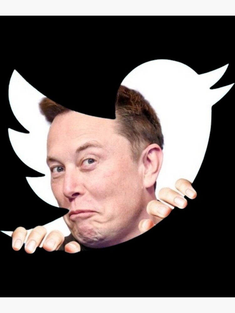 Lámina Fotográfica Elon Musk Compra Twitter Meme Liberando Al Pájaro Elon Meme De 5416