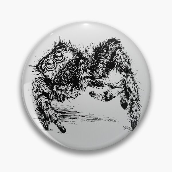 Item preview, Jumping Spider Encounter designed and sold by Callie Bostic.