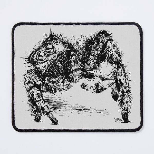 Item preview, Jumping Spider Encounter designed and sold by Callie Bostic.