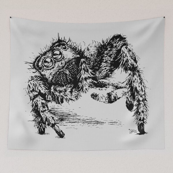 Item preview, Jumping Spider Encounter designed and sold by Callie Bostic.