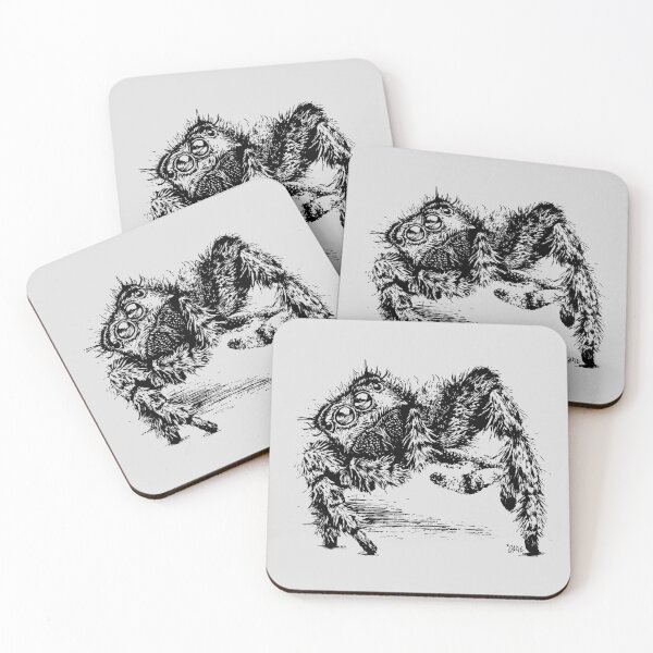 Item preview, Jumping Spider Encounter designed and sold by Callie Bostic.