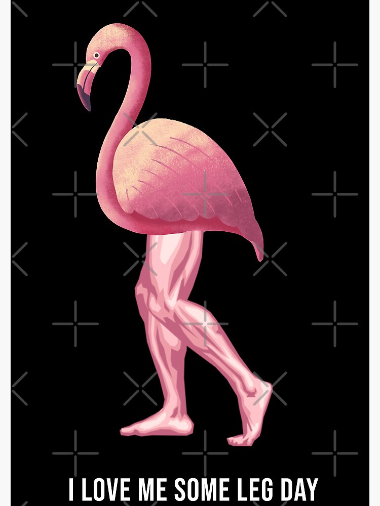 Funny Bodybuilding Flamingo Leg Day Gym Workout Journal for Sale