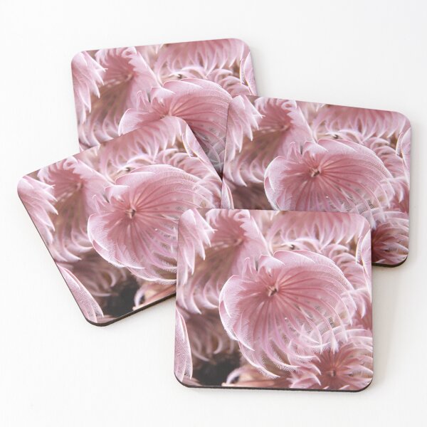 Item preview, Pink Feather Dusters designed and sold by Caitlin Chock.