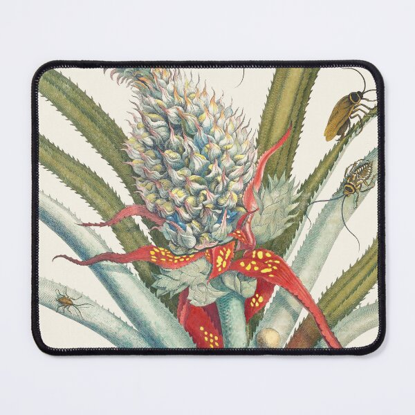 Item preview, Vintage Pineapple Botanical Print by Maria Sibylla Merian, 1705 designed and sold by Vintage Wall Art.