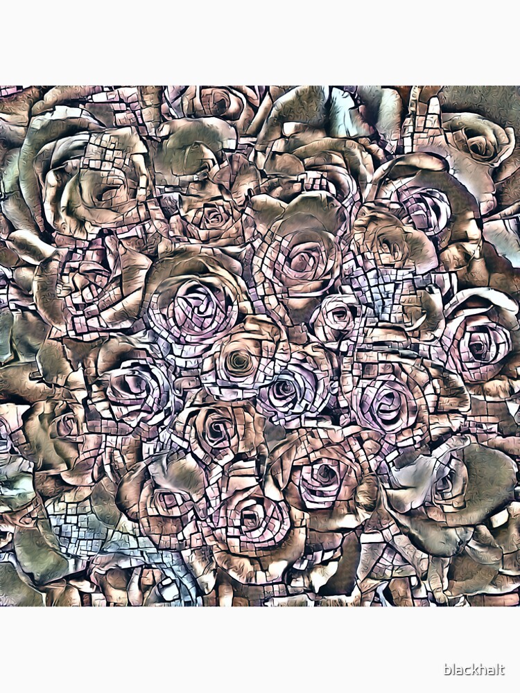 Roses by blackhalt