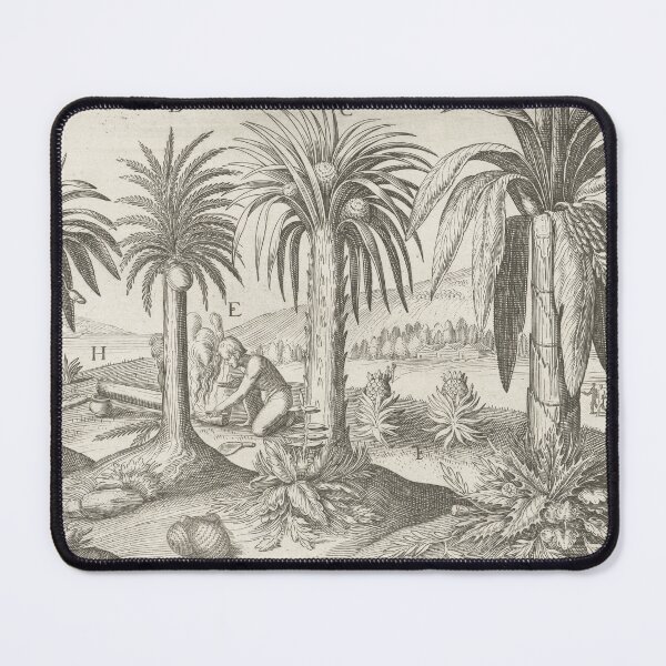 Item preview, Vintage Palm Tree Illustration - Java Indonesia designed and sold by Vintage Wall Art.