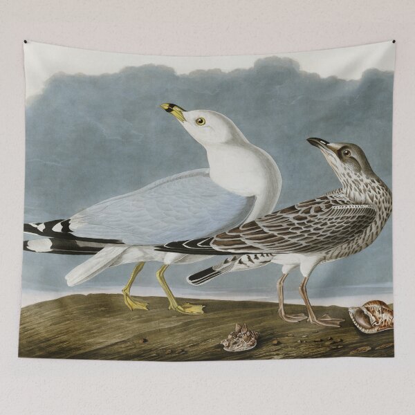 Item preview, Vintage Seagull Illustration - Audubon  designed and sold by Vintage Wall Art.