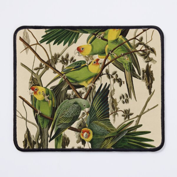 Item preview, Vintage Parrot Illustration designed and sold by Vintage Wall Art.