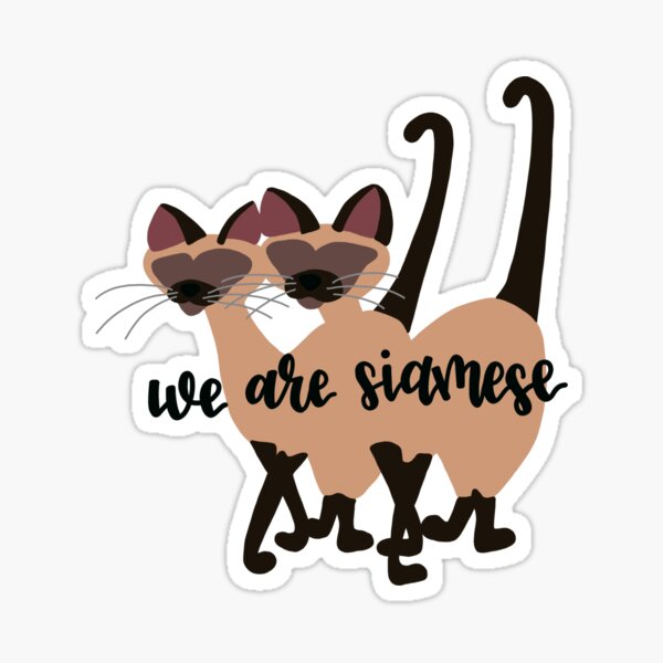 Decorative Wall Art Print "We are Siamese..." Cat Lovers Pet Gift Kitten 