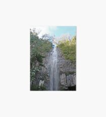 Protester Falls, Nightcap National Park Art Board
