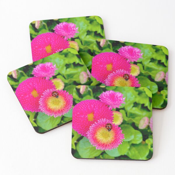 Item preview, Summer ( i shot this photo ) designed and sold by DIRTY-GECKO.