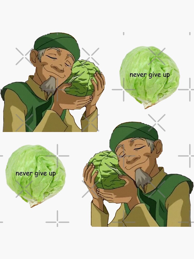 "Cabbage Man Guy Avatar The Last Airbender Shirt Sticker Megapack Hoodie " Sticker by