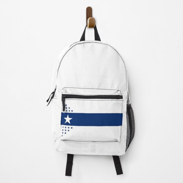 Item preview, The Illinois Centennial Flag designed and sold by franklinprintco.