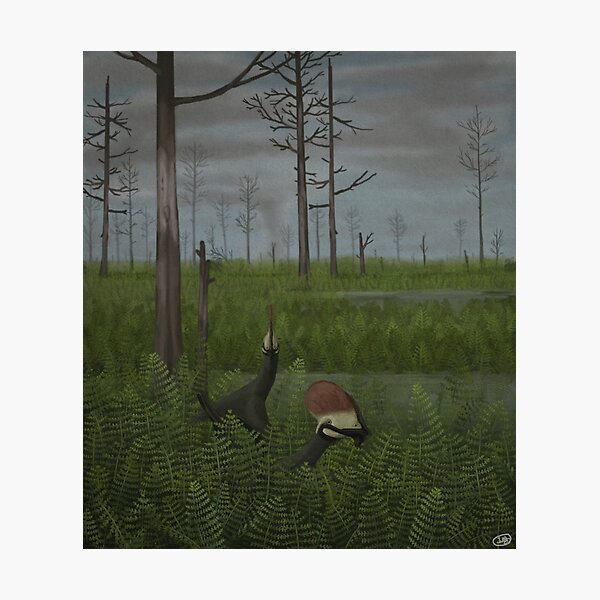 Item preview, Europejara designed and sold by KirbyPaleoart.