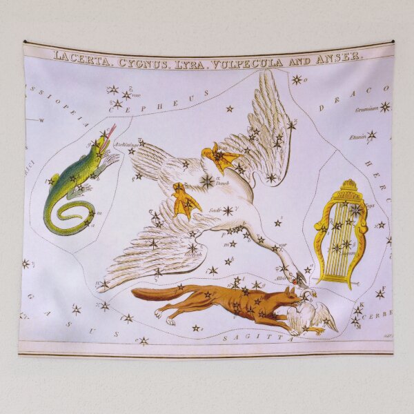Item preview, Antique Lacerta, Cygnus, Lyra, Vulpecula and the Anser Constellations designed and sold by jadeandjester.