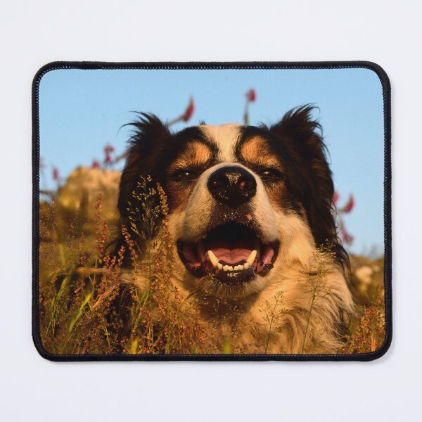 Item preview, Be Kind To Each Other. designed and sold by Michael Haslam.