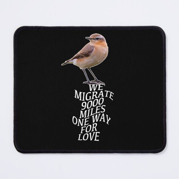 Item preview, We migrate 9000 miles one way for love. The amazing life of Northern Wheatears. designed and sold by studiohfy.
