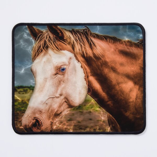 Item preview, Paint Horse designed and sold by DVJPhotography.