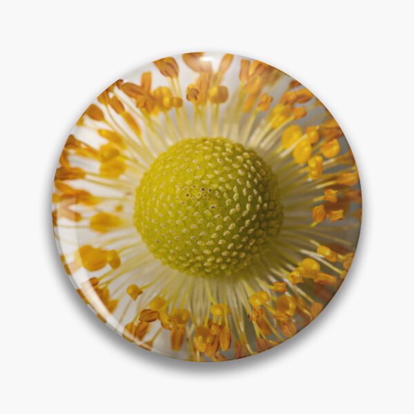 Item preview, Japanese Windflower Macro designed and sold by PhotosByFelix.