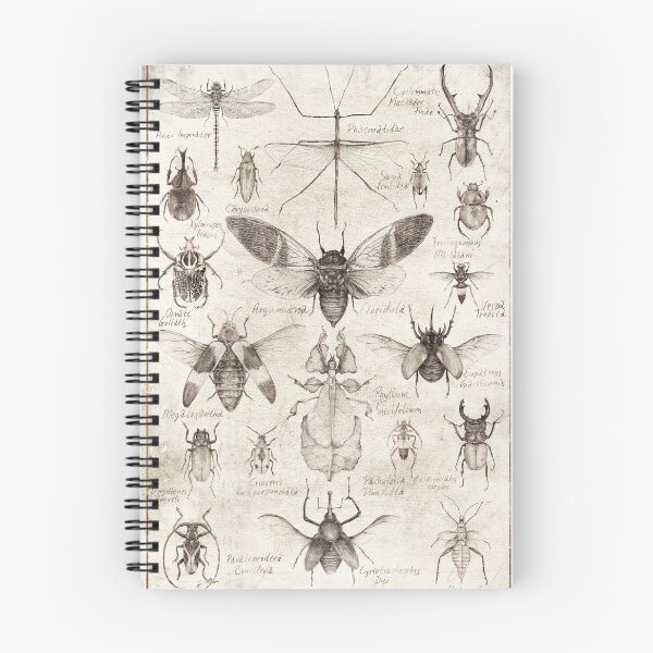 Item preview, Insects designed and sold by mikekoubou.