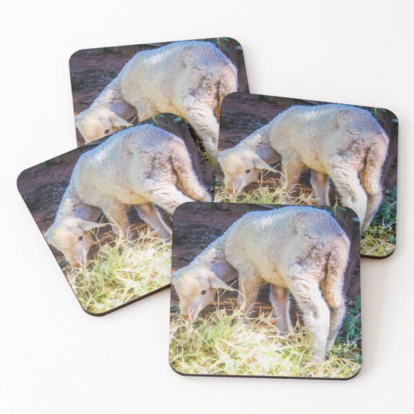 Item preview, Little Lamb designed and sold by DVJPhotography.