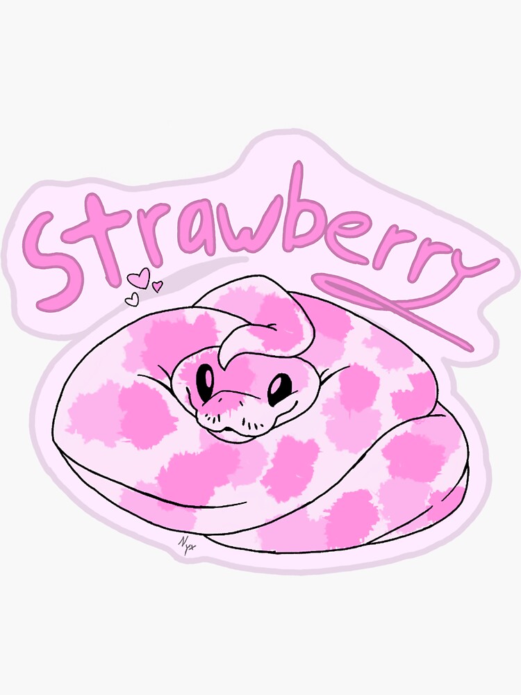 "Strawberry Snake" Sticker for Sale by NyxSnakeLover Redbubble