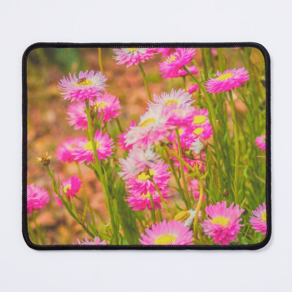 Item preview, Paper Daisy designed and sold by DVJPhotography.