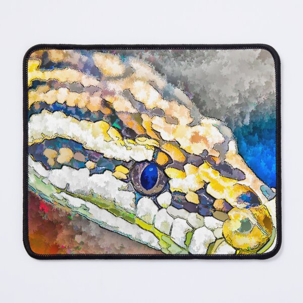 Item preview, Python designed and sold by DVJPhotography.