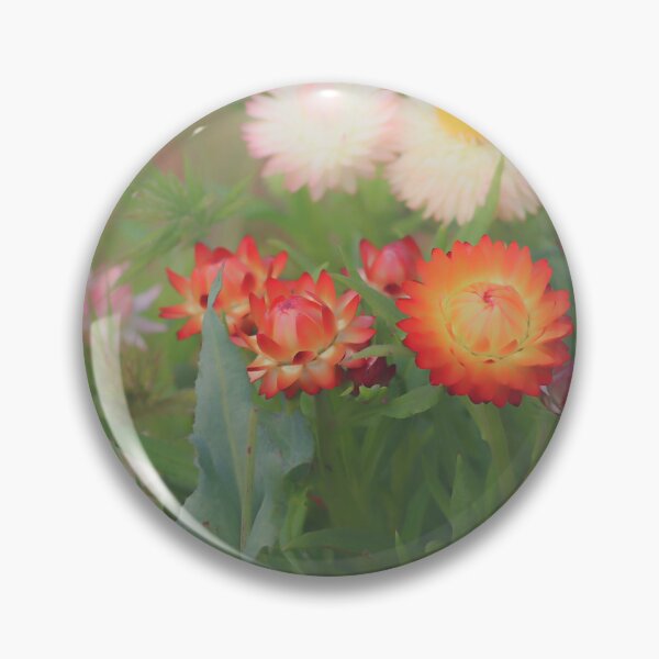 Artikelvorschau, Papier-Gänseblümchen entworfen und verkauft von DVJPhotography.
