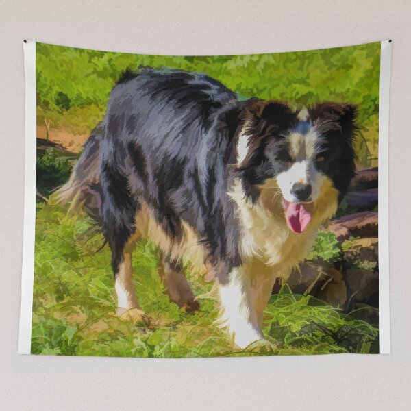 Item preview, Border Collie - Color designed and sold by DVJPhotography.